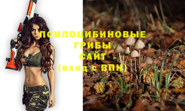 кокаин колумбия Няндома