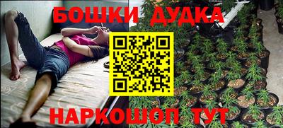 твердый Будённовск