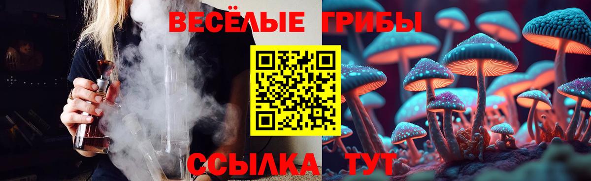 Галлюциногенные грибы Psilocybine cubensis  Вход с VPN  Тобольск 