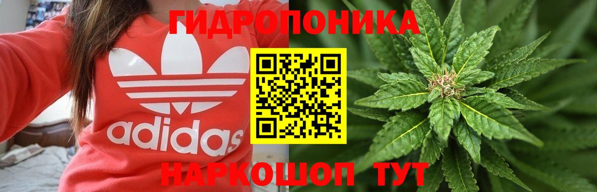 Бошки Шишки сатива  Вход с VPN  Тобольск  Канабис AK-47 